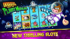 Golden Toad slot game interface with five reels and paylines